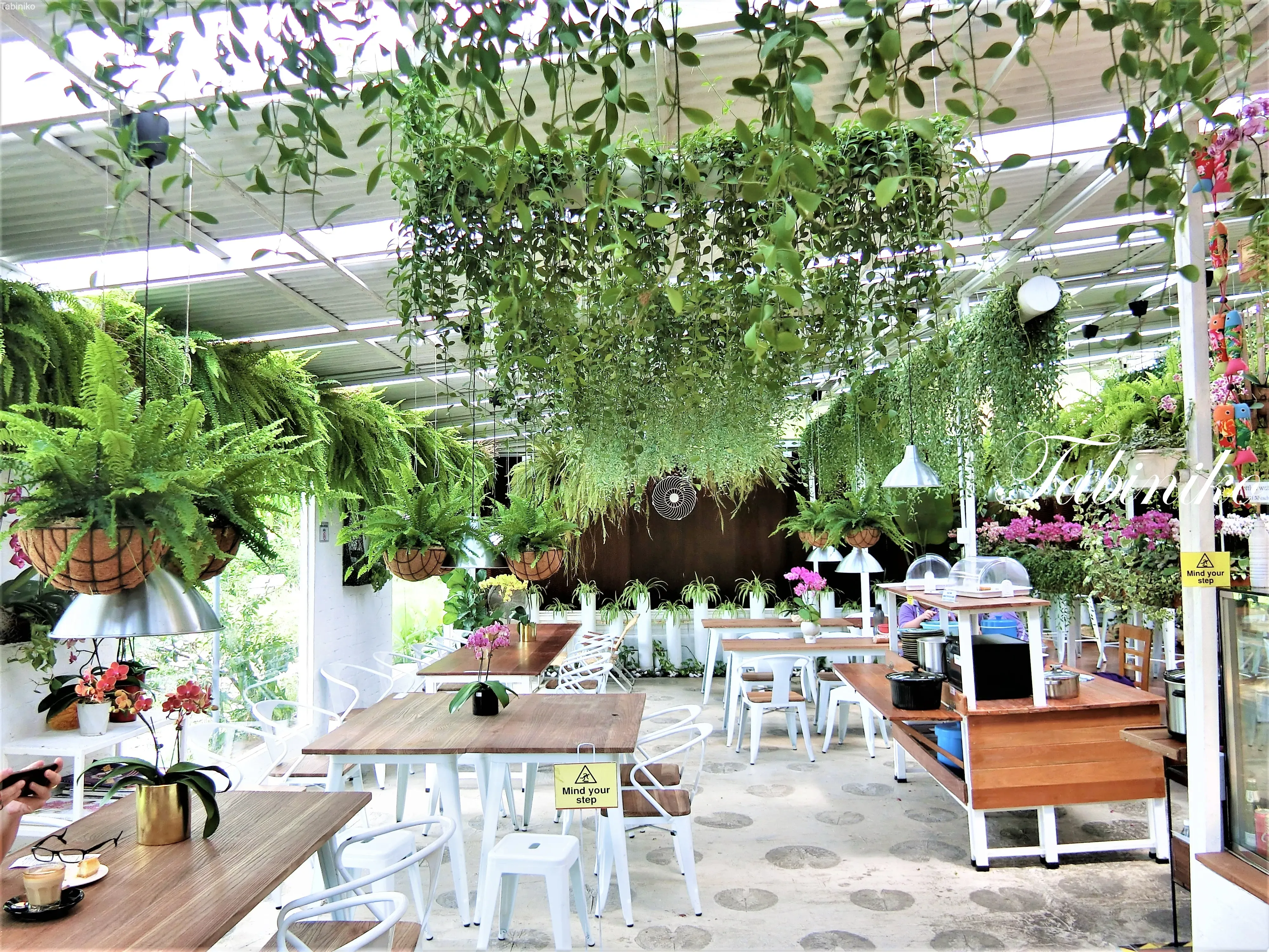 Florescence Cafe (フローレセンス カフェ) at World Of Phalaenopsis マレーシアのお店情報