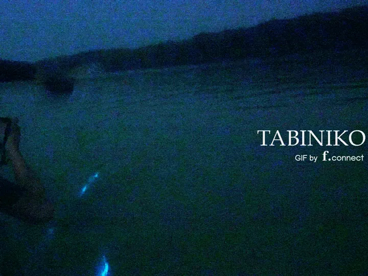 ここにブログのタイトルを入力してください👈