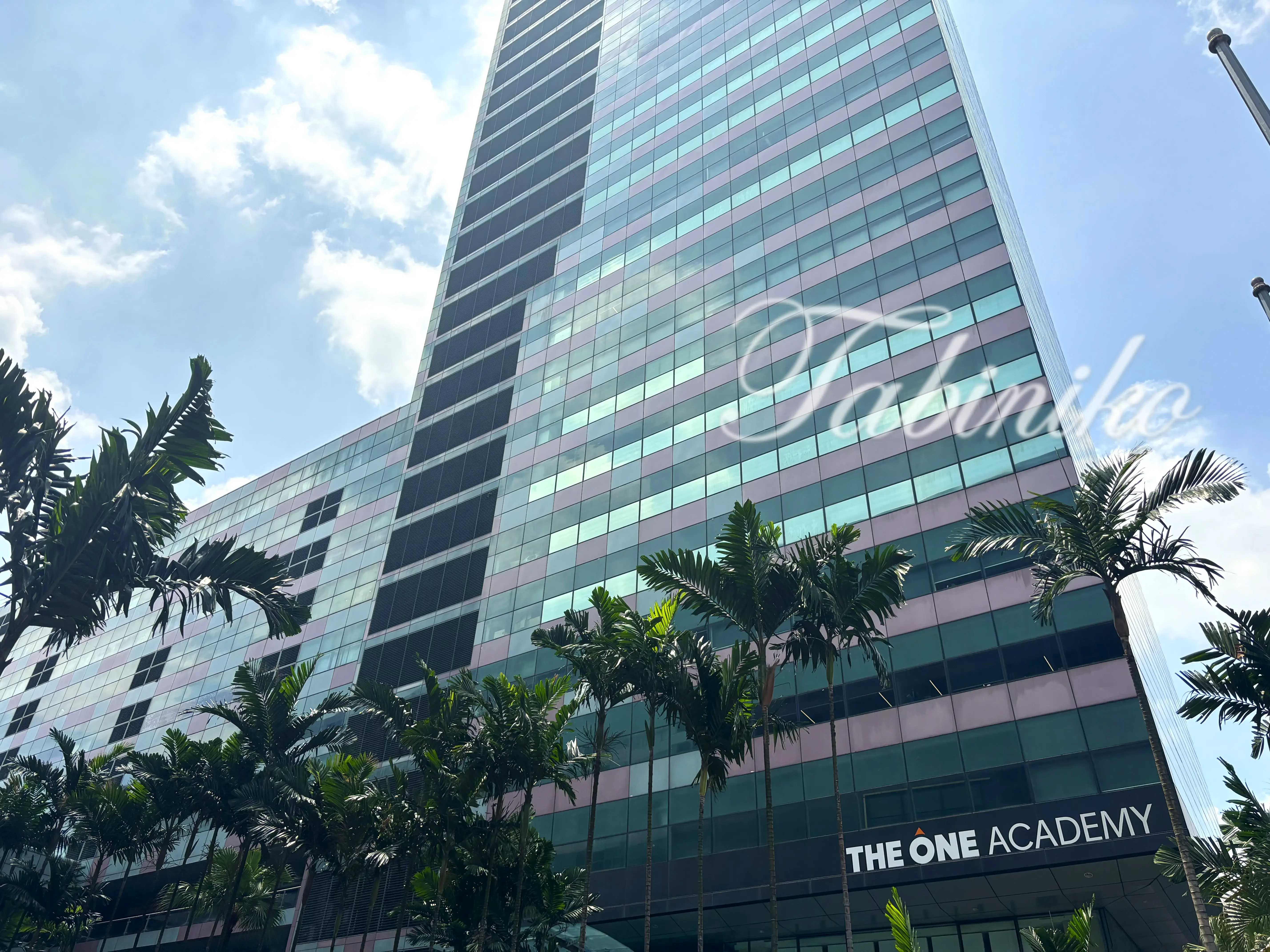 The One Academy