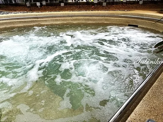 Heated Pool & Jacuzzi
