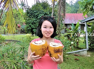 Janda Baik Sailor's Rest Resort